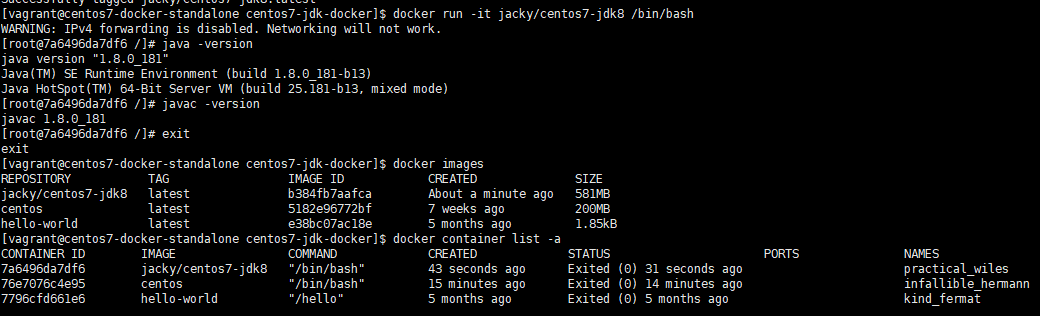 run-a-centos7-jdk8-container   