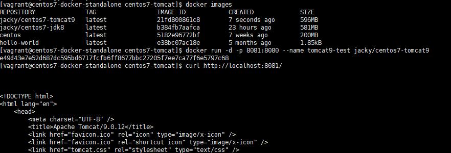 run-a-centos7-tomcat9-container